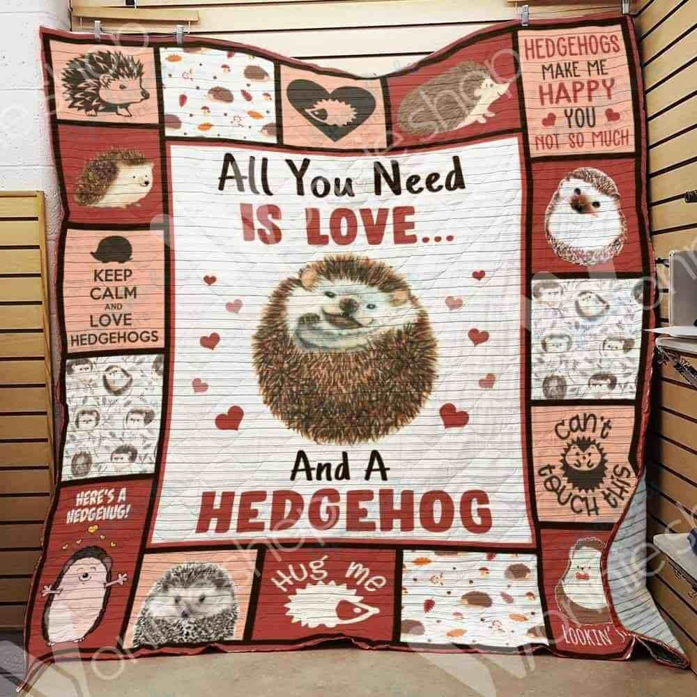 Funny Cute Hedgehog Sherpa Blanket for Daughter, Son who loves Hedgehog Throw Blanket